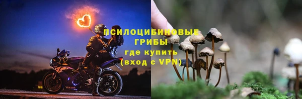 СК Белокуриха