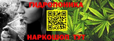 стаф Абакан