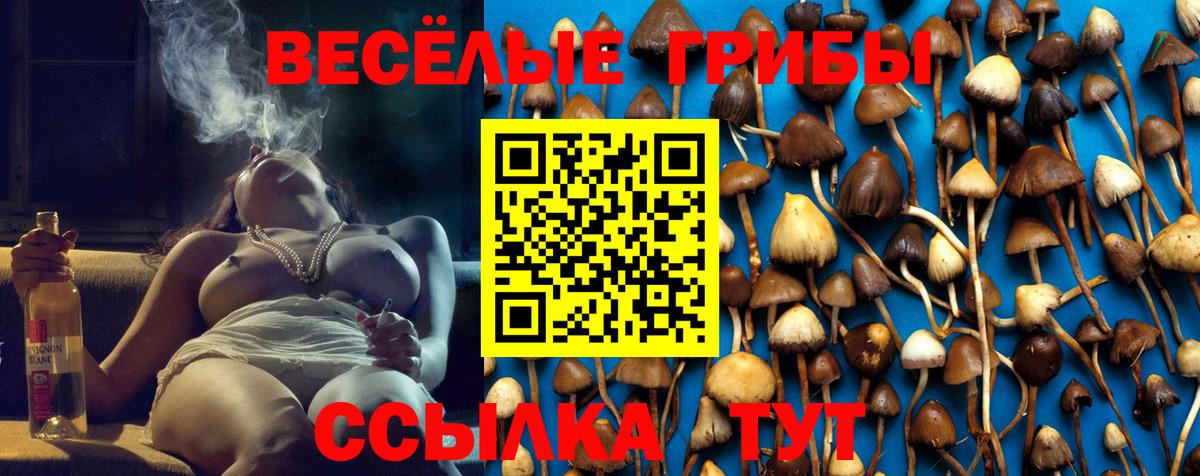 Вейп ТГК Анжеро-Судженск
