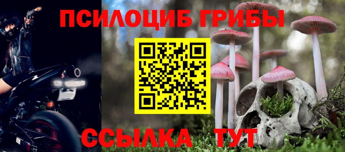 Галлюциногенные грибы Psilocybine cubensis Анжеро-Судженск