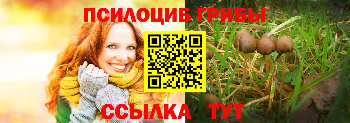 где найти наркотики  Галлюциногенные грибы ЛСД  Вход с VPN  Анжеро-Судженск  Псилоцибиновые грибы GOLDEN TEACHER 